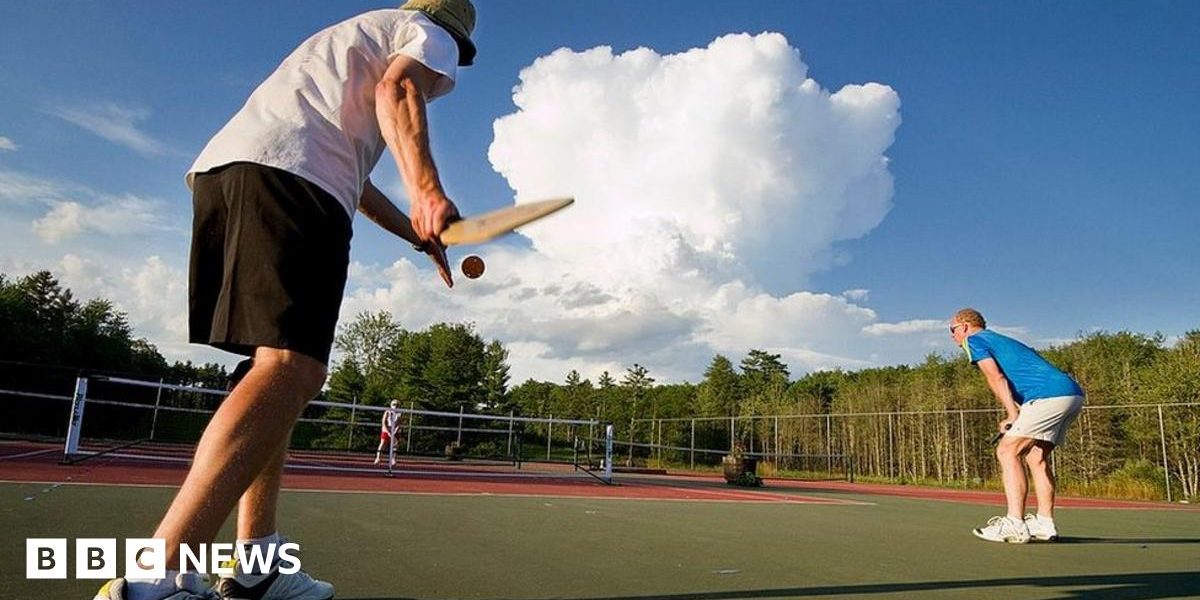 Is pickleball an Olympic sport? Exploring Its Journey to the Games